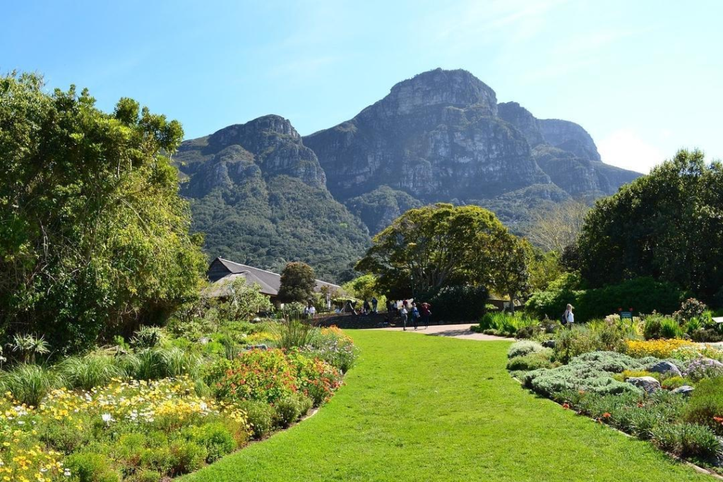 Kirstenbosch Botanical Garden in Cape Town South Africa.