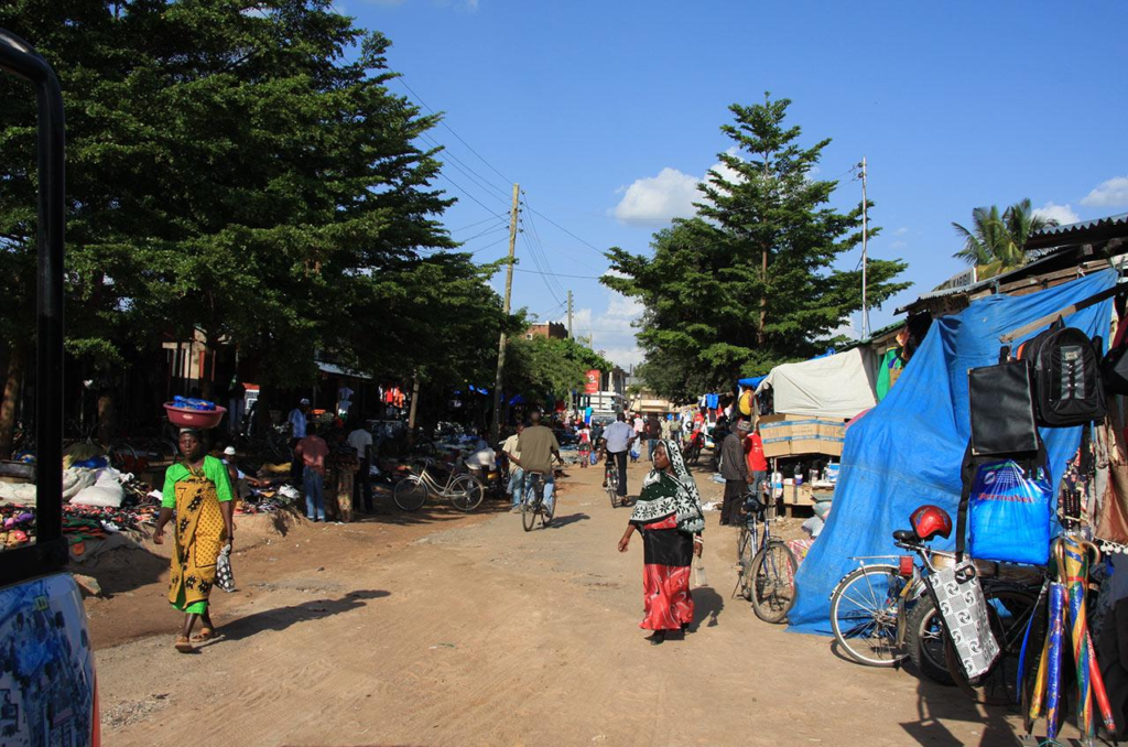 Rural landscape in central Tanzania.