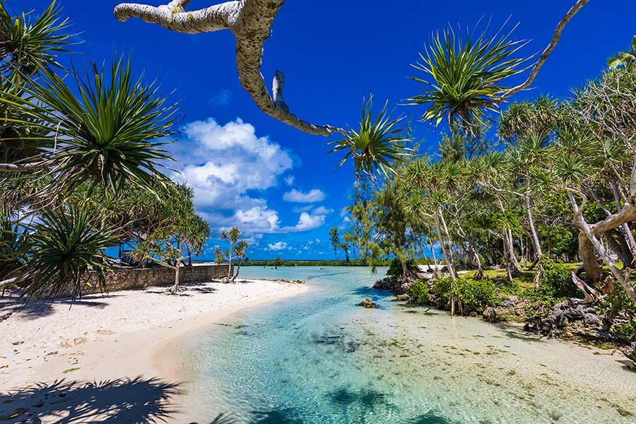 Tropical landscapes Vanuatu